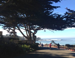 New Year's Day - 10k