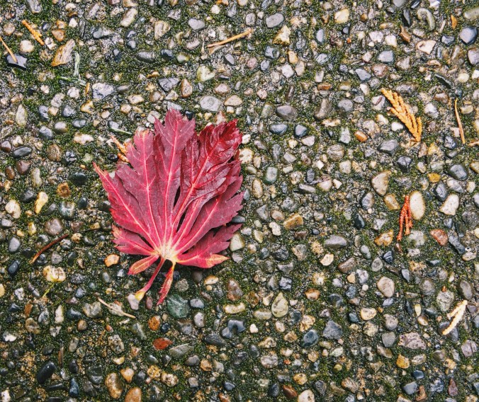 Processed with VSCOcam with c1 preset