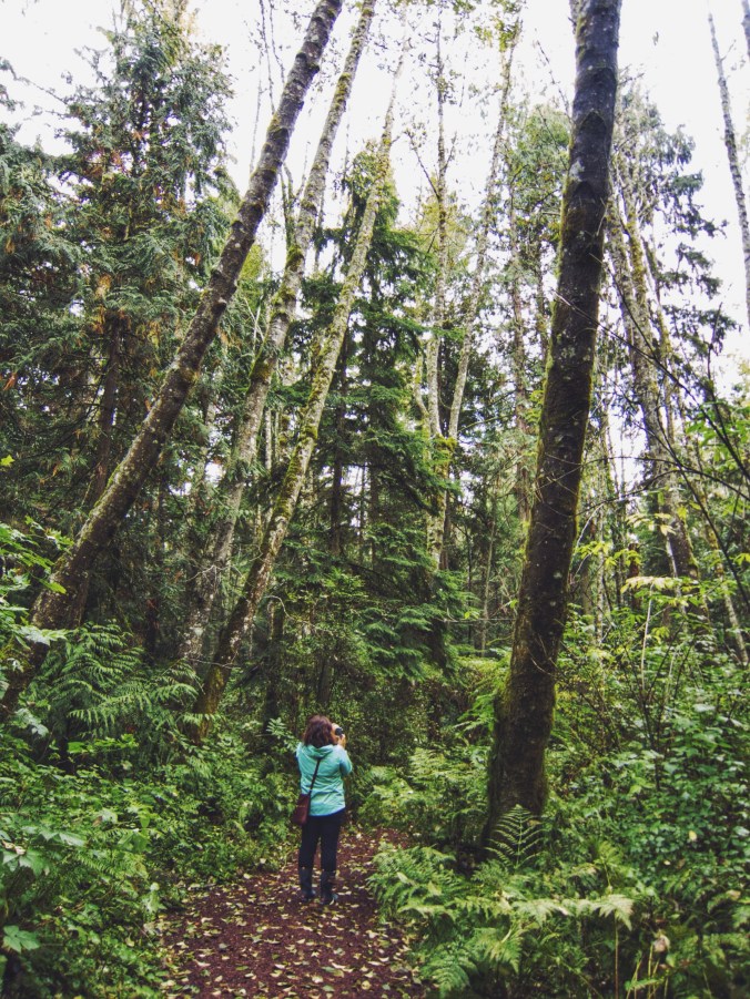 GMoney at the Bloedel Reserve on Bainbridge Island