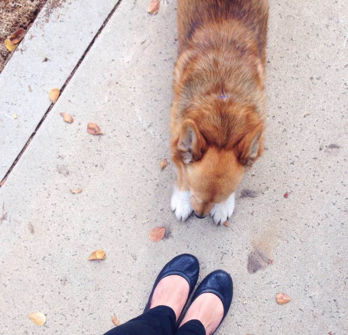 one of my loyal subjects bowing down to me